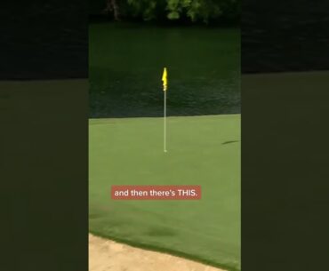 Dustin Johnson CRAZY Ace! 😱⛳