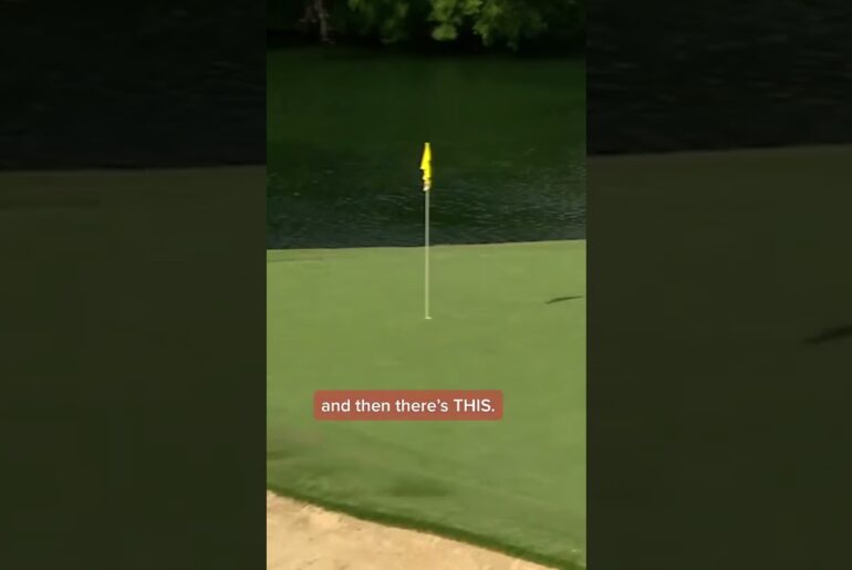 Dustin Johnson CRAZY Ace! 😱⛳