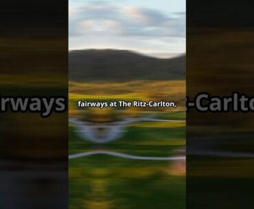 Top 3 Golf Courses in Tucson, Arizona! 🏜️⛳️#TucsonGolf #TopGolfCourses #GolfInAZ #GolfDestinations