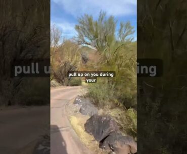 Loved this place ! Got to play it back in February and it’s never left my memory #golf #golfswing