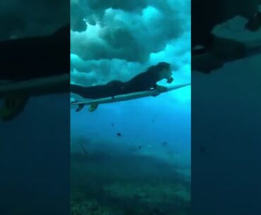 Have you ever wonder how to duck dive while surfing? This is how you can do it 🏄 #RoadToParis2024