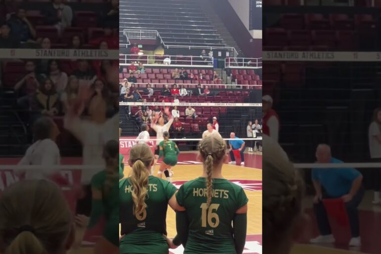 #volleyball  #fyp #waitforit #womensvolleyball