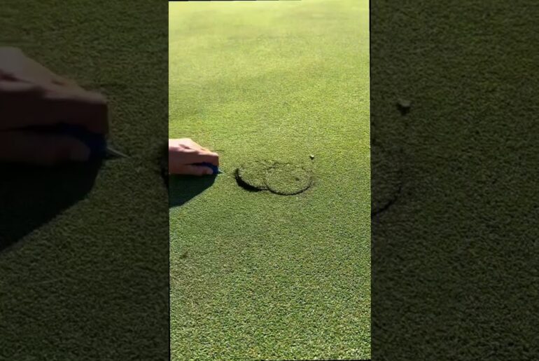 The Most Satisfying Thing in Golf ⛳💧