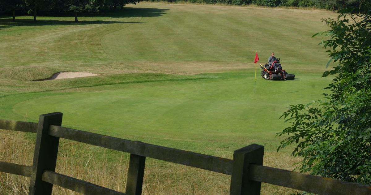 Brand new nature reserve to be opened in Coventry as Brandon Wood Golf course transformed Coventry Live