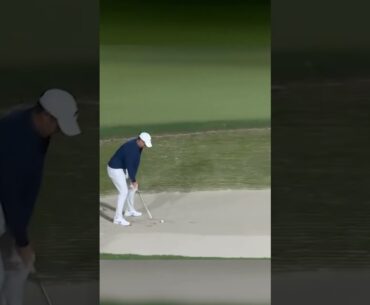 Run, Rory, RUN! 😂