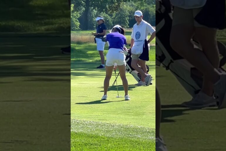 #golfswing #fyp #followthrough #waitforit #golfergolfing