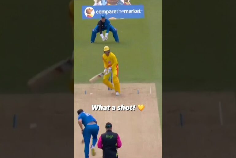 Ek shot = pure stadium ka shor  💥 #shorts #viral #ytshorts #cricket