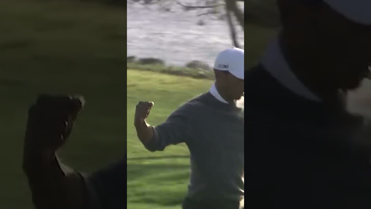 Tiger Woods: Best Of Torrey ๐ฅ #pga #tigerwoods #highhandicapgolf #shorts Tiger Woods: Best Of Torrey ๐ฅ #pga #tigerwoods #highhandicapgolf #shorts