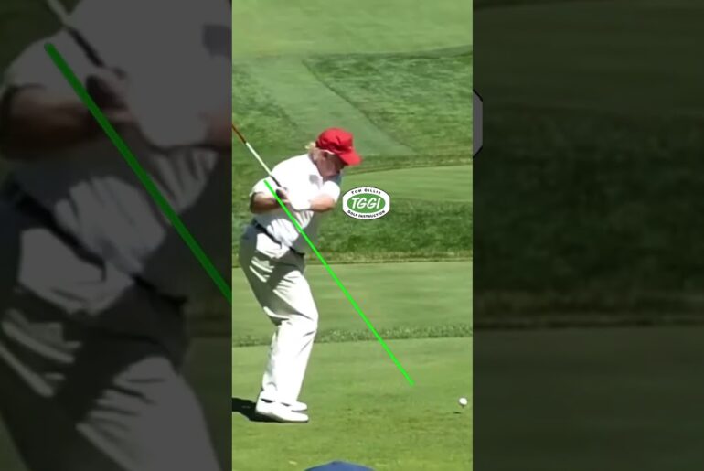 Is Donald Trump good at GOLF as everyone says? #trump #golf