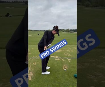 A pro swing you can learn from