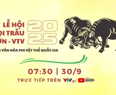 TRỰC TIẾP Lễ hội chọi trâu Đồ Sơn - VTV 2025