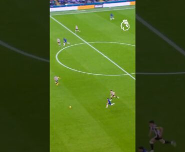 Palmer’s Unbelievable Vision 👀