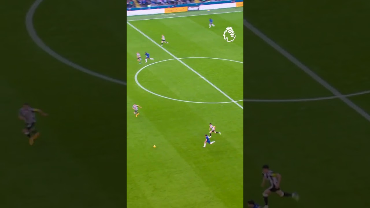 Palmer’s Unbelievable Vision 👀 Palmer’s Unbelievable Vision 👀