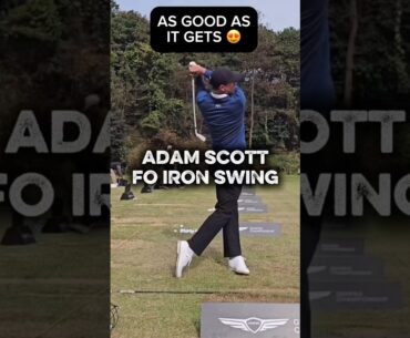 Adam Scott Iron Swing (Face-On) | Slow Motion Golf Swing #golf #golfswing #golflife
