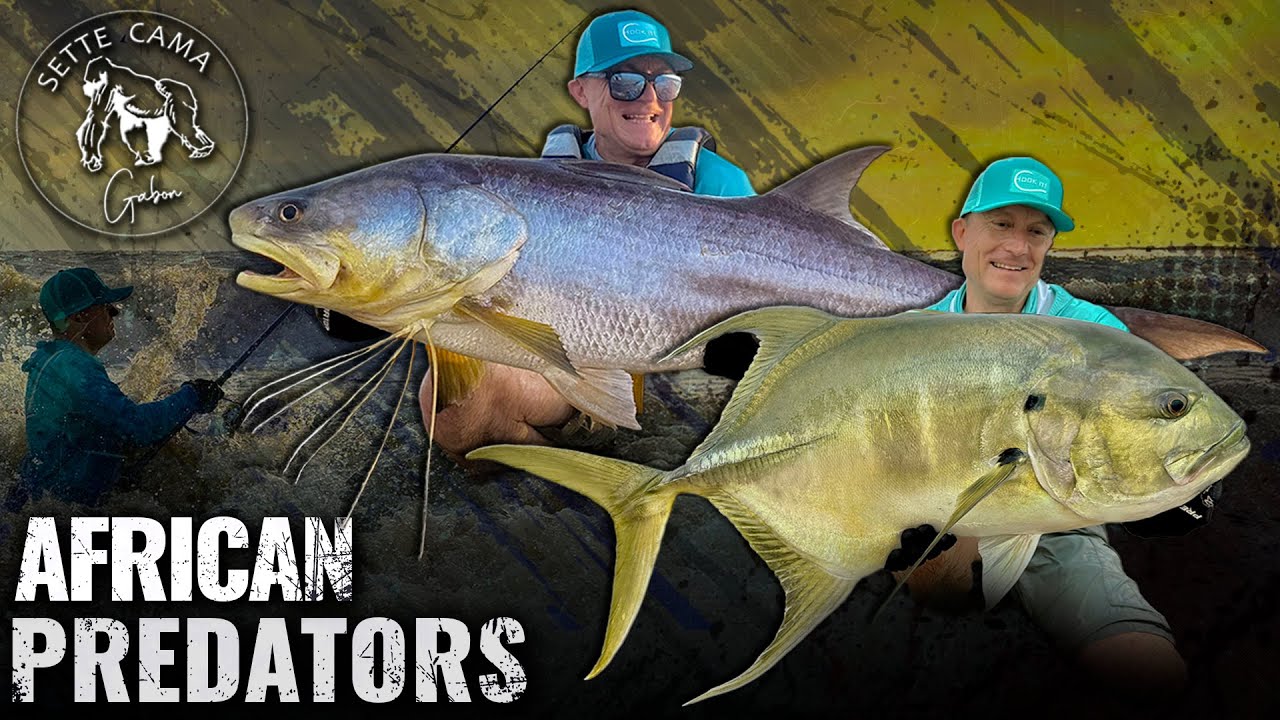 Döme Gábor – Őrült horgászat Afrikában, Gabon Sette Cama Adventure Döme Gábor - Őrült horgászat Afrikában, Gabon Sette Cama Adventure