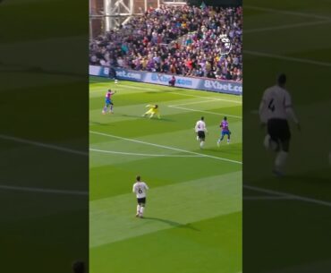 Adam Wharton Is Running The Show 💪