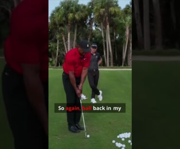 Tiger Woods confession: I am ALWAYS doing something with the ball.