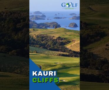Kauri Cliffs - Is this New Zealand's best golf course?