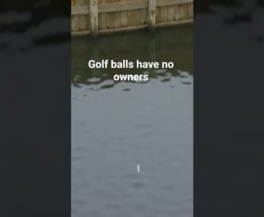 Golf Ball finds the Water and goes for a bath #pgatour #korean #golf #shorts #bad #2025 Sungjae Im