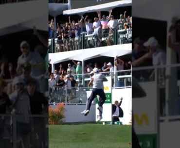 Emiliano Grillo's ASTONISHING hole-in-one 🤯🤯