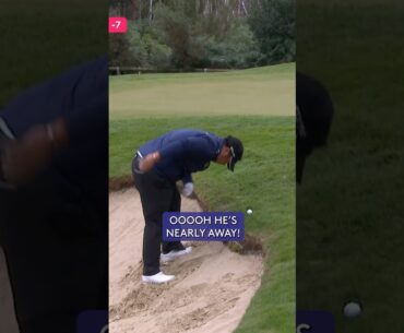 Oh no, DO NOT fall over 🫣