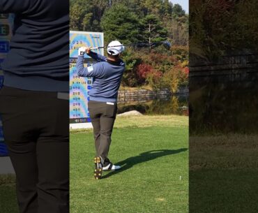상향타격을 위한 티 높이? 조민규 프로 드라이버 티샷 #조민규프로 #골프스타 #골프그립 #골프 #골프존 #golfswing #골프채 #골프스윙