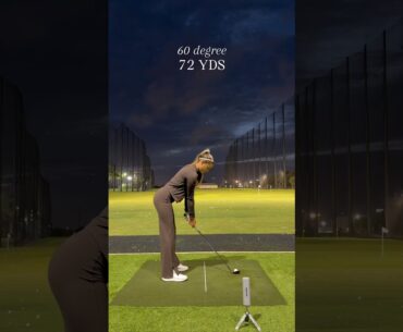 Every Club In The Bag