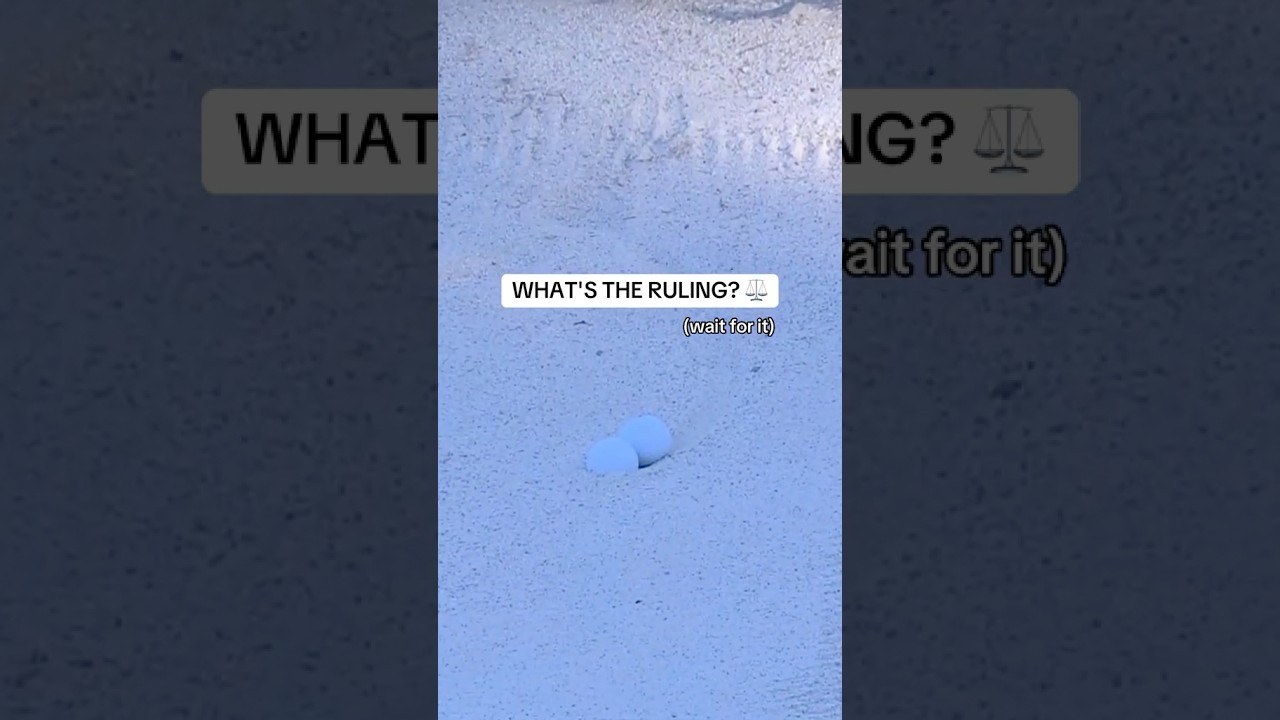 Like two peas in a pod ⚪⚪ Like two peas in a pod ⚪⚪