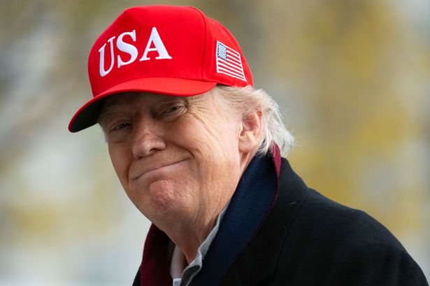 Donald Trump arrives on the South Lawn of the White House