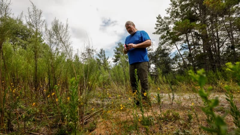 Florida buys 340 acres from golf developer who sought state forest land Yahoo news home