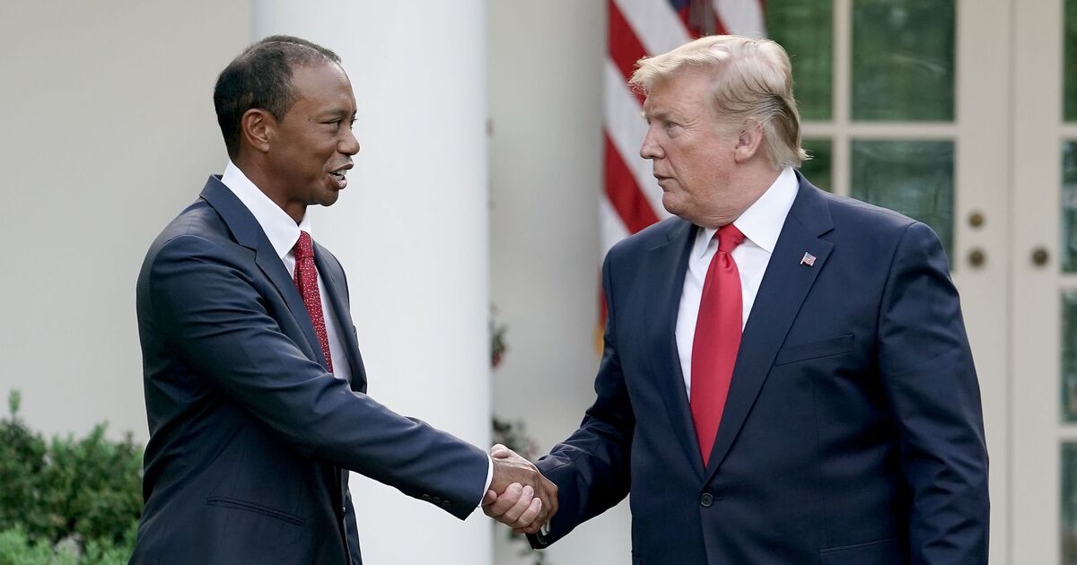 Donald Trump on Tiger Woods as he dates president’s daughter-in-law | Golf | Sport Donald Trump on Tiger Woods as he dates president's daughter-in-law | Golf | Sport