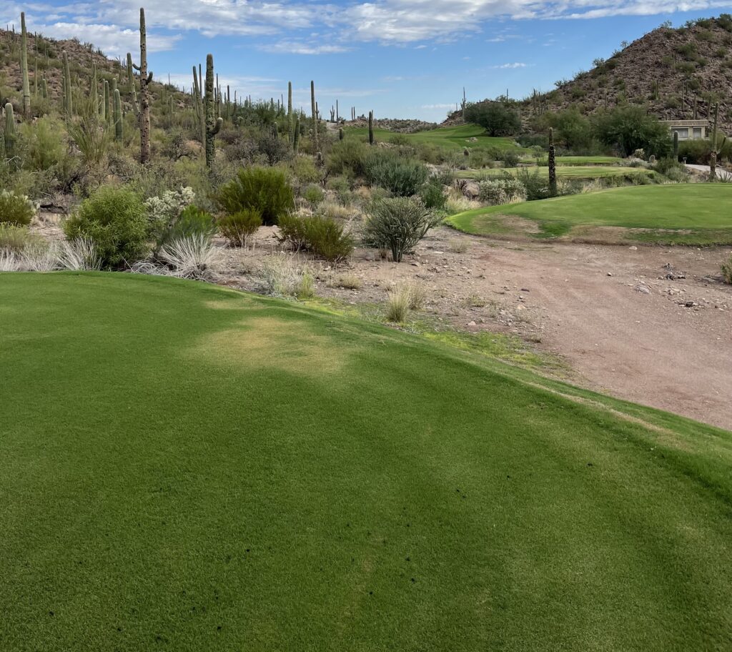 The Most Punishing Site at Q-School? The Most Punishing Site at Q-School?