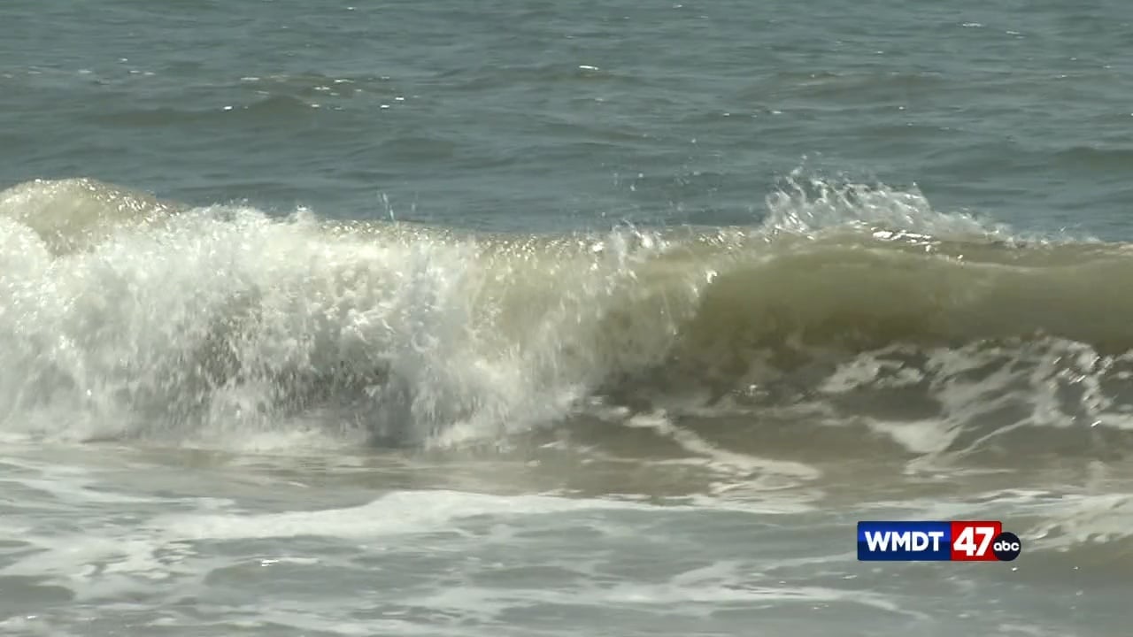 Man killed in Tangier Island Golf Cart Crash, Virginia State Police say Man killed in Tangier Island Golf Cart Crash, Virginia State Police say
