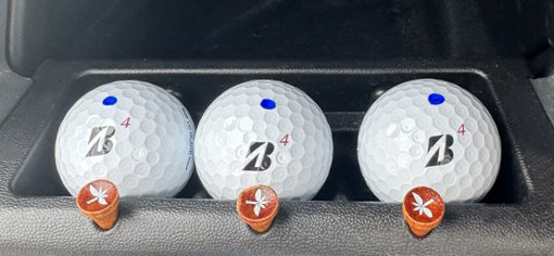 Bridgestone VS Black