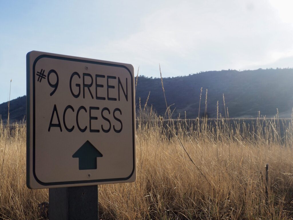 A #9 hole sign on an overgrown golf course