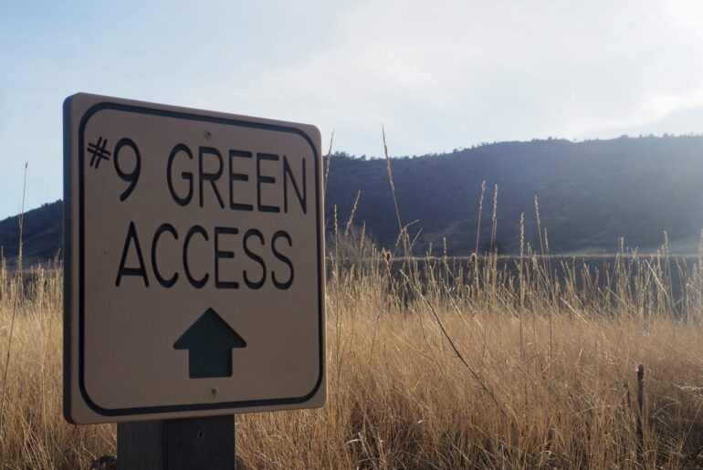 A #9 hole sign on an overgrown golf course