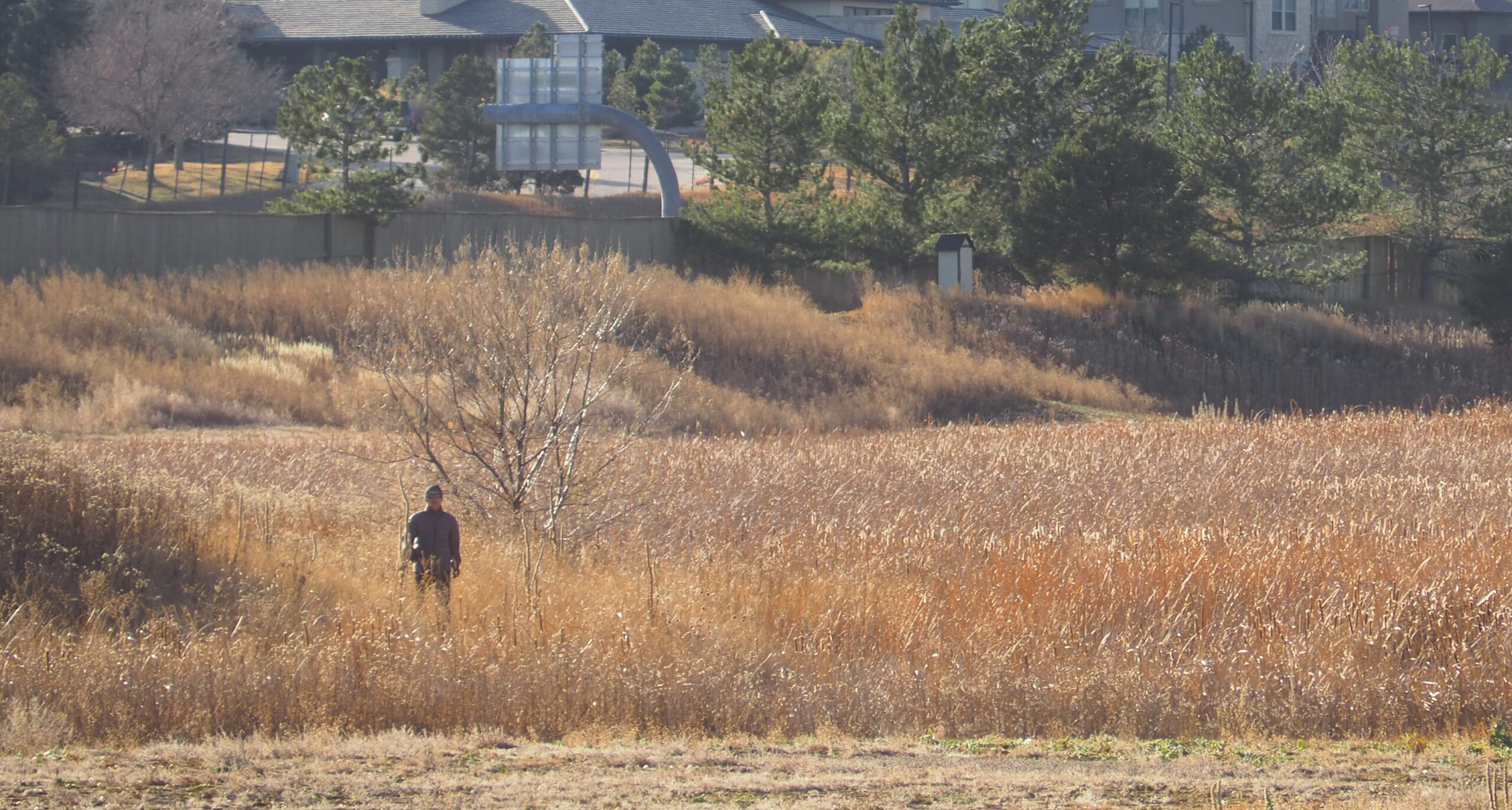 A person walks through the old grounds of the course on Tuesday, Nov. 25. 