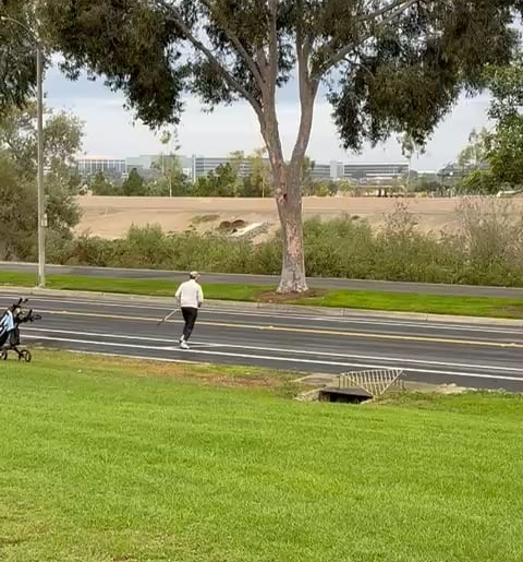 What is the title of this video clip?