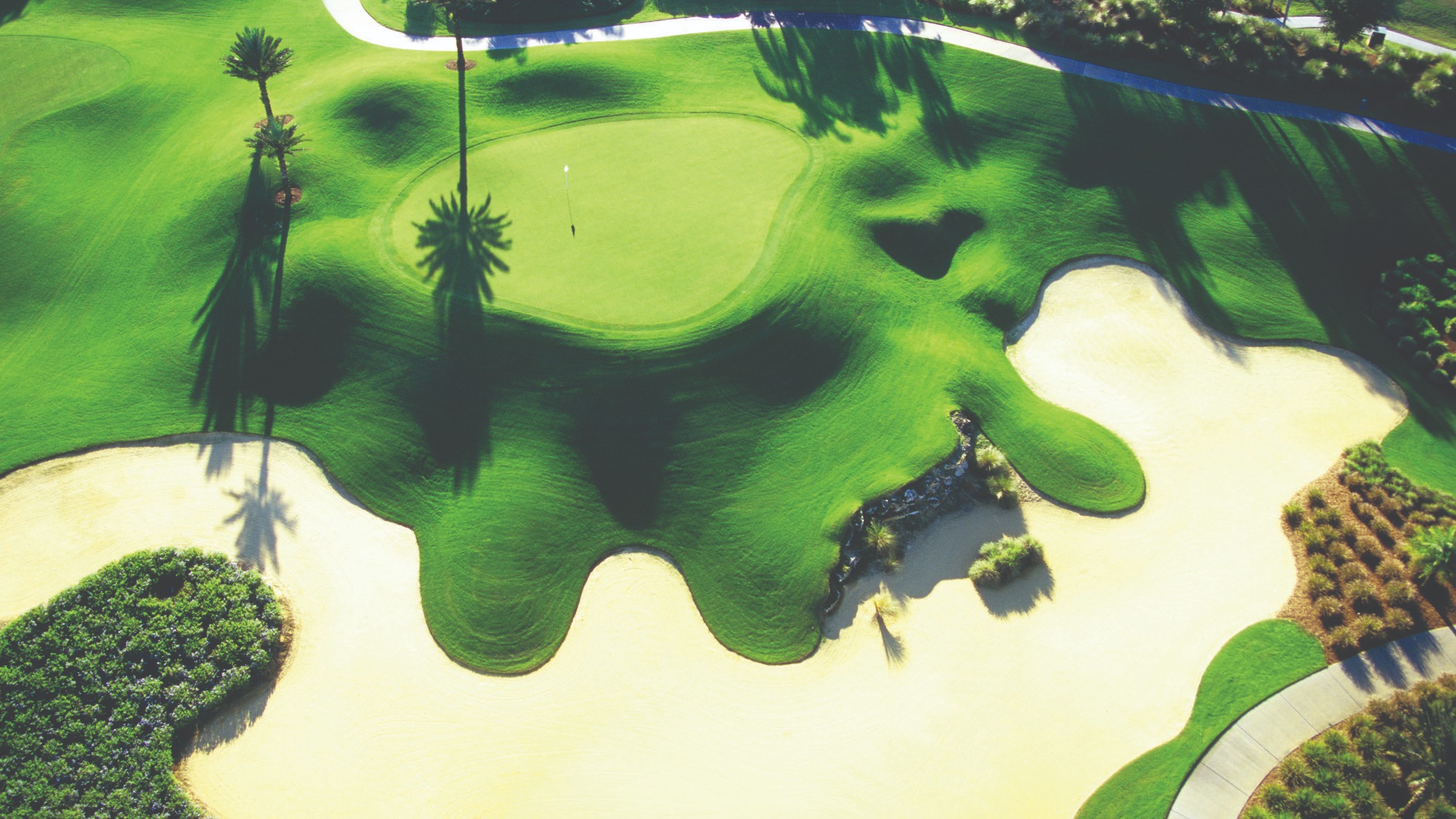 Reunion Resort’s Nicklaus, Palmer & Watson Leaderboards icon