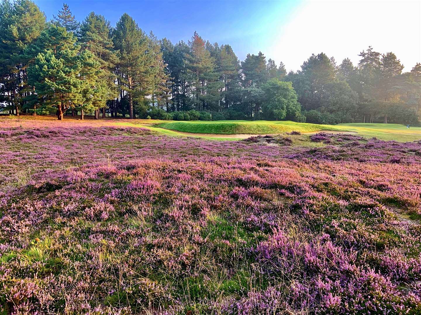 The 16th hole at Thetford Golf Club presents a big challenge Picture: Peter Allott