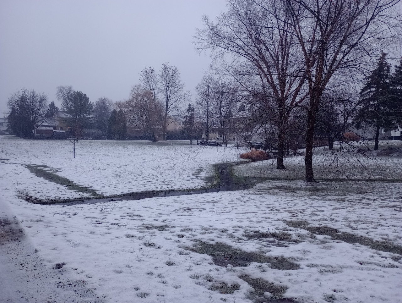 Disc golf coming to Pumpkin Ridge Park Mostly Sunny