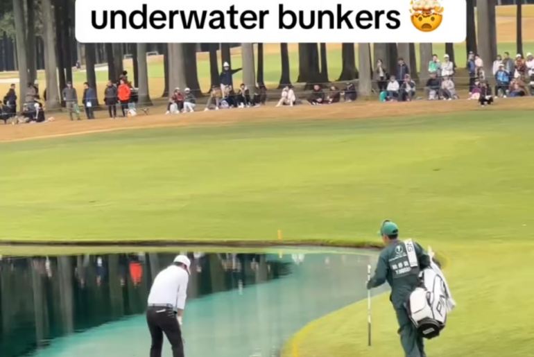 Had me my water wedge