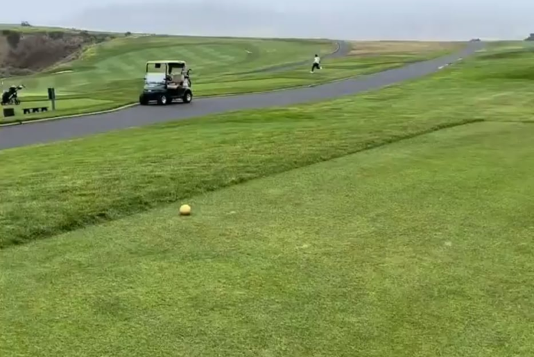 There goes all his cash and Zyn's