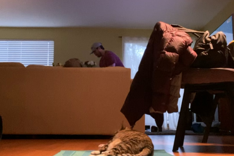 Floppy chips from 15 feet