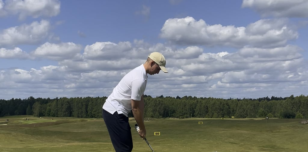 what do you thing about my friends swing ?