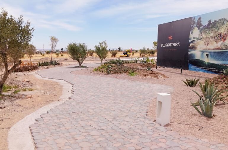 PIZÁ GOLF REFLECTS ON A YEAR OF VISION, WELLNESS, AND DESIGN EVOLUTION