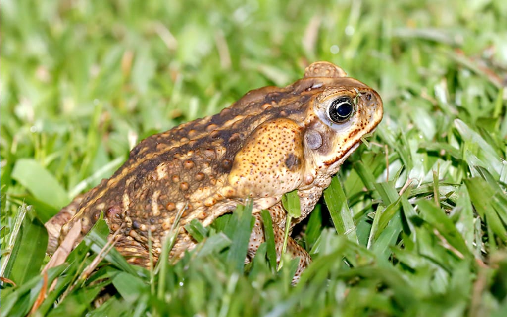 Social Media Ban Already Working As QLD Golf Retailers Report Sharp Uptick In Sales Of Junior Club Sets Social Media Ban Already Working As QLD Golf Retailers Report Sharp Uptick In Sales Of Junior Club Sets
