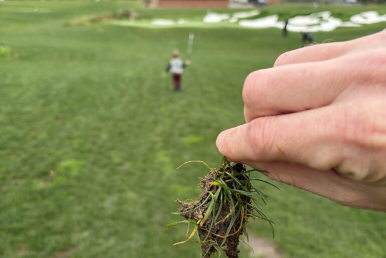 My 3 year olds first divot.