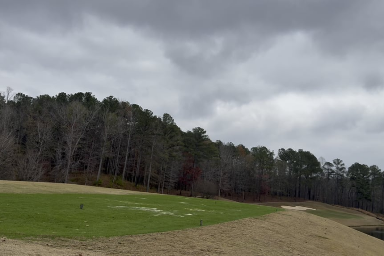 Hole in One: 185 yd 8W shot!