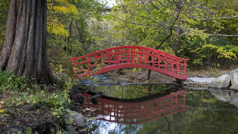 Cranbrook's Japanse Garden